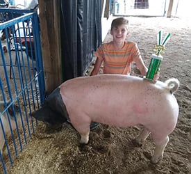 four h photo with pig.