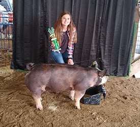 four h photo with pig.